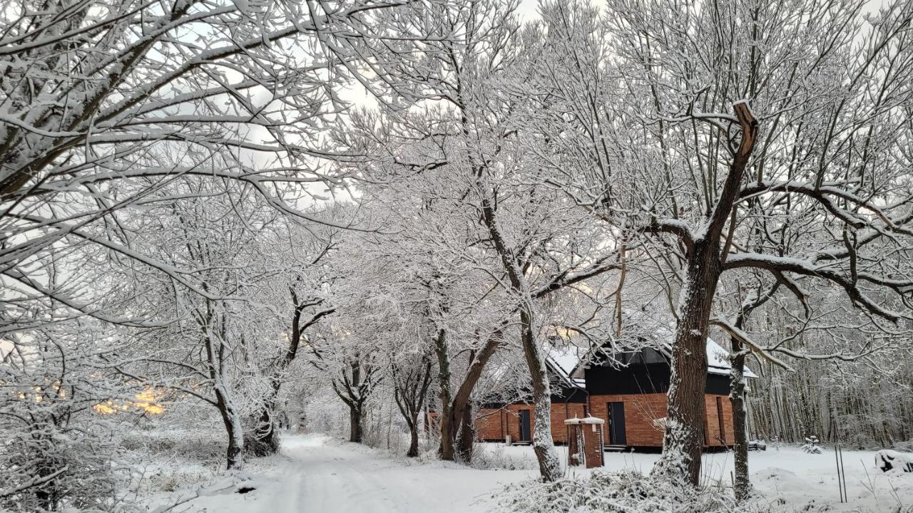 Czas Na Las Zarnowska Buitenkant foto