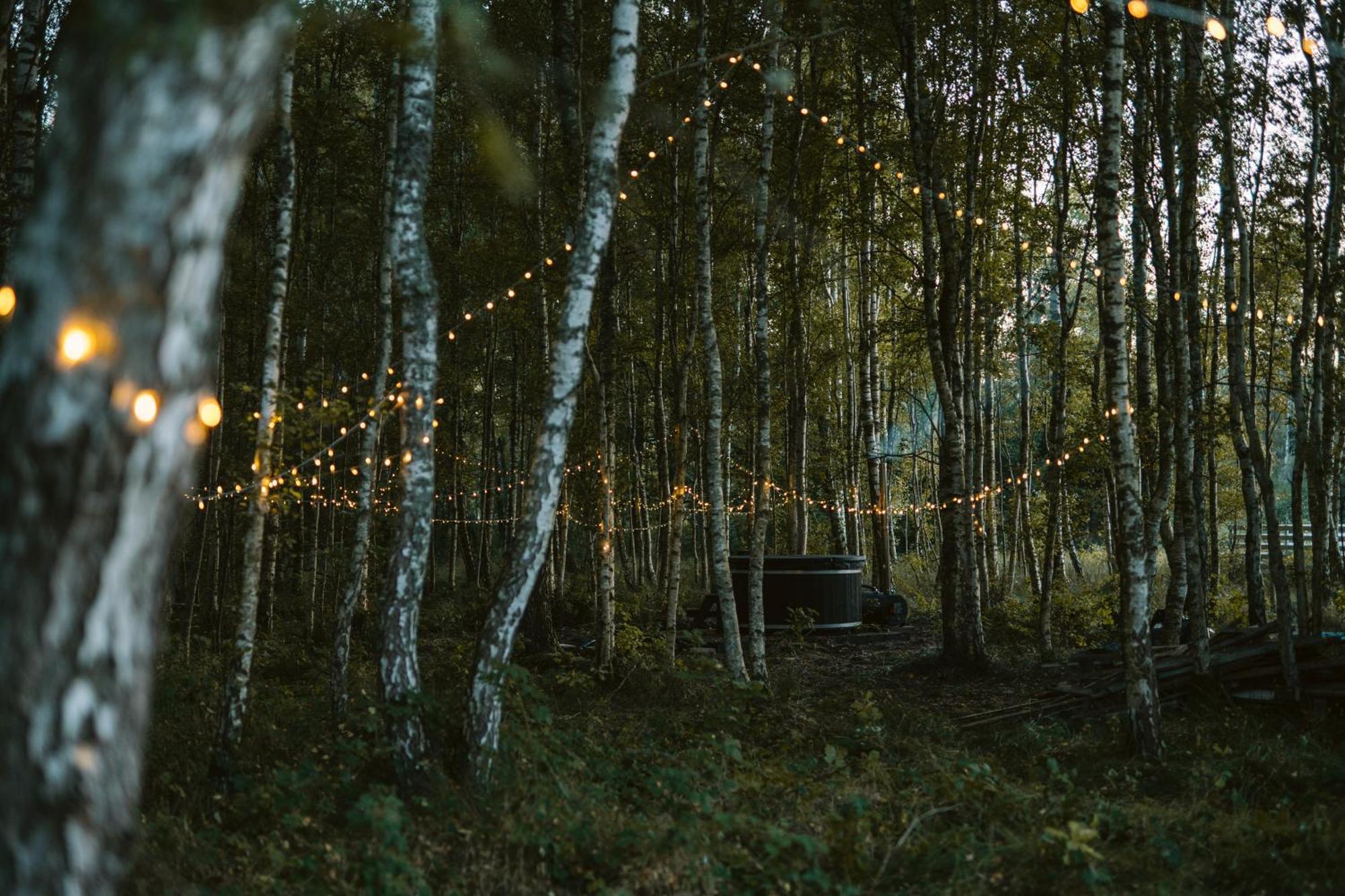 Czas Na Las Zarnowska Buitenkant foto