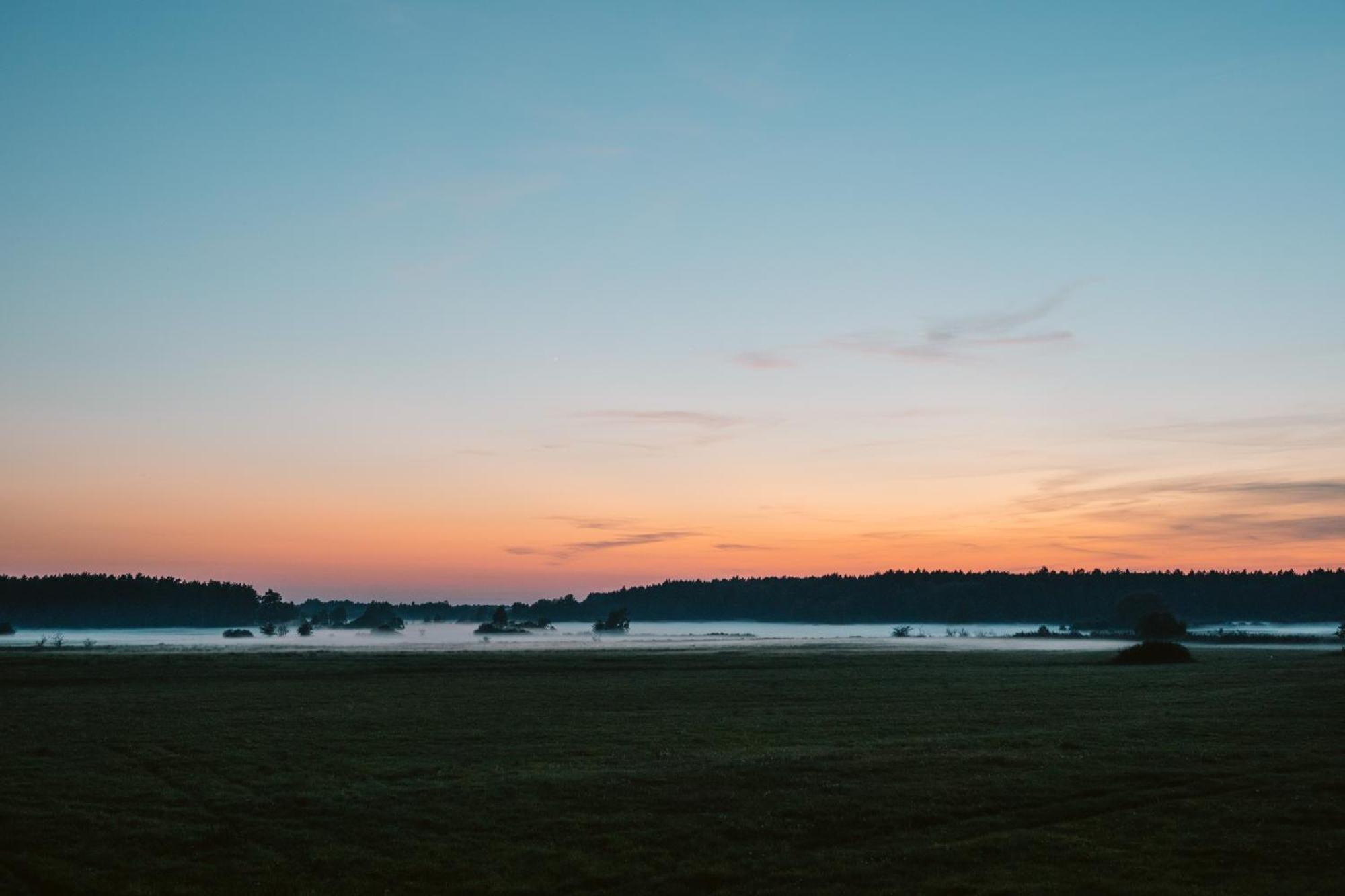 Czas Na Las Zarnowska Buitenkant foto